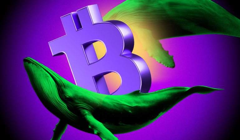 Massive Whale Activity Sparks Bullish Sentiment!