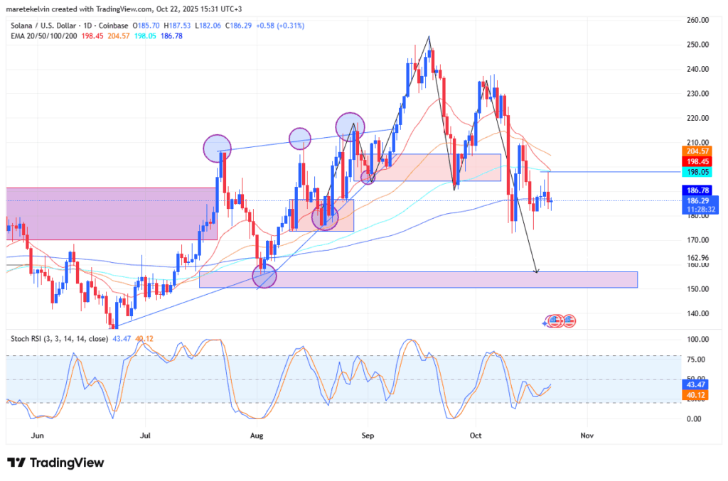 Solana Proves Its Power: How the Blockchain Outperformed During AWS Meltdown