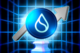 SUI Price Rises Slightly, But Warning Signs Emerge