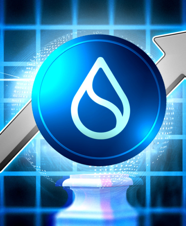 SUI Price Rises Slightly, But Warning Signs Emerge