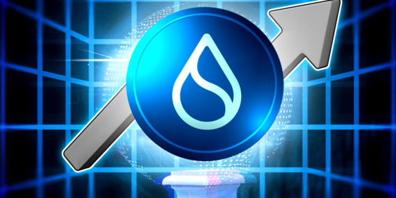 SUI Price Rises Slightly, But Warning Signs Emerge