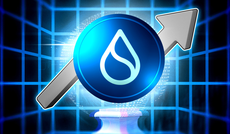 SUI Price Rises Slightly, But Warning Signs Emerge