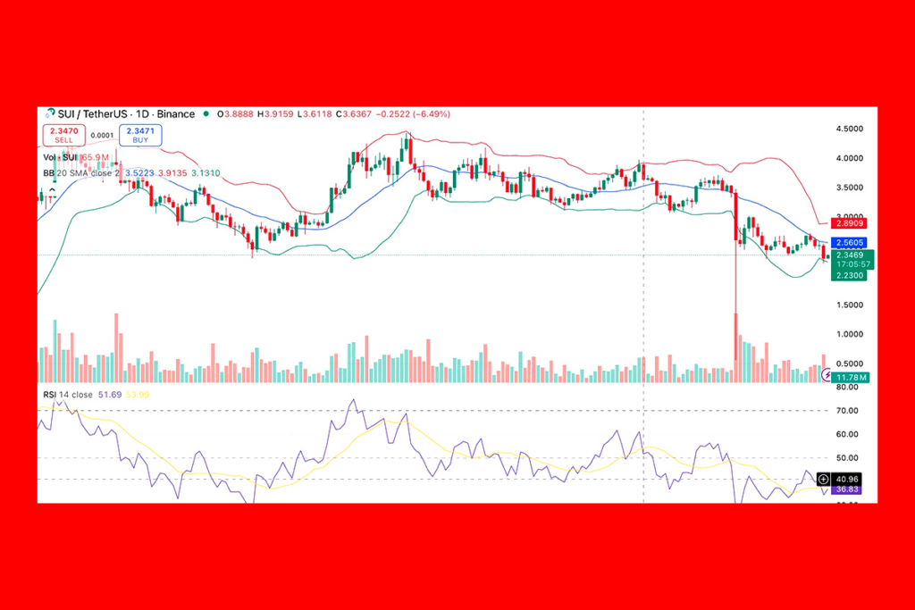 SUI Price Rises Slightly: Can It Rebound?