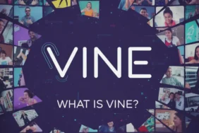Vine (VINE)