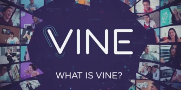 Vine (VINE)