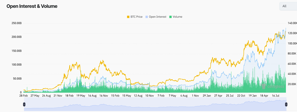 Crypto Market Hits $4.2 Trillion: Are Leverage and Whale Profits Warning Signs?