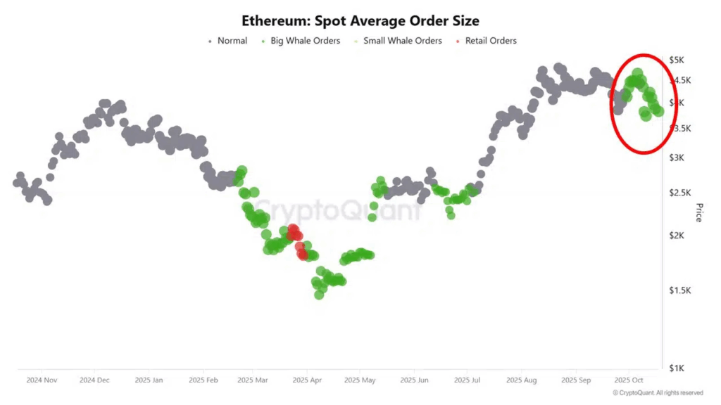 Ethereum Whales Accumulate as Exchange Reserves Hit Yearly Lows