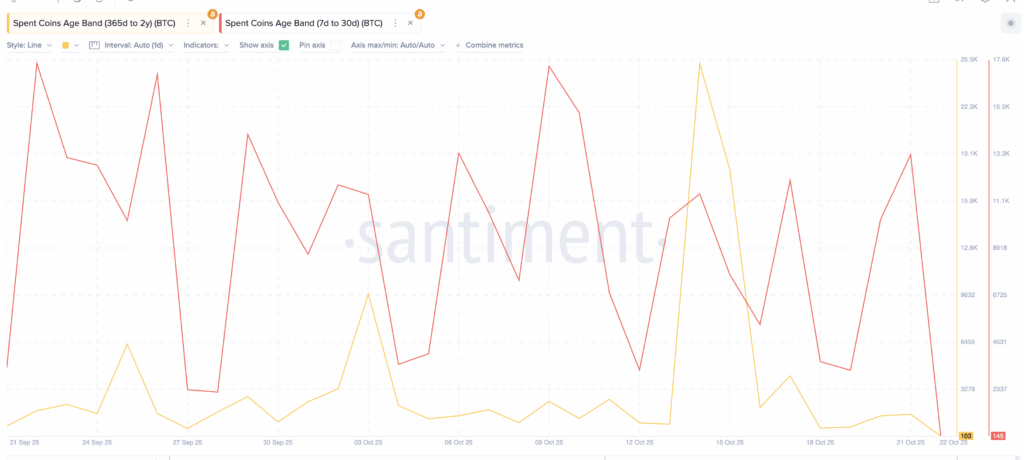 Bitcoin Holders Stay Strong as Selling Weakens and Reaccumulation Begins