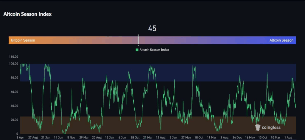 Binance [BNB] Leads the Altcoin Market as Inflows Decline and New Listings Shine