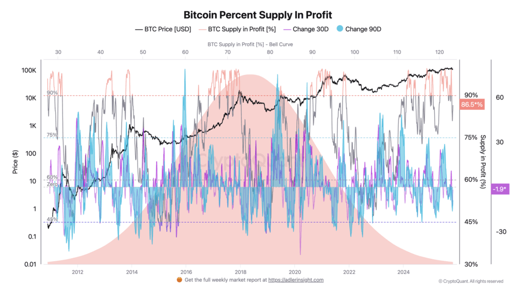 Bitcoin Faces Key Resistance as Price Rebounds Toward $115,000