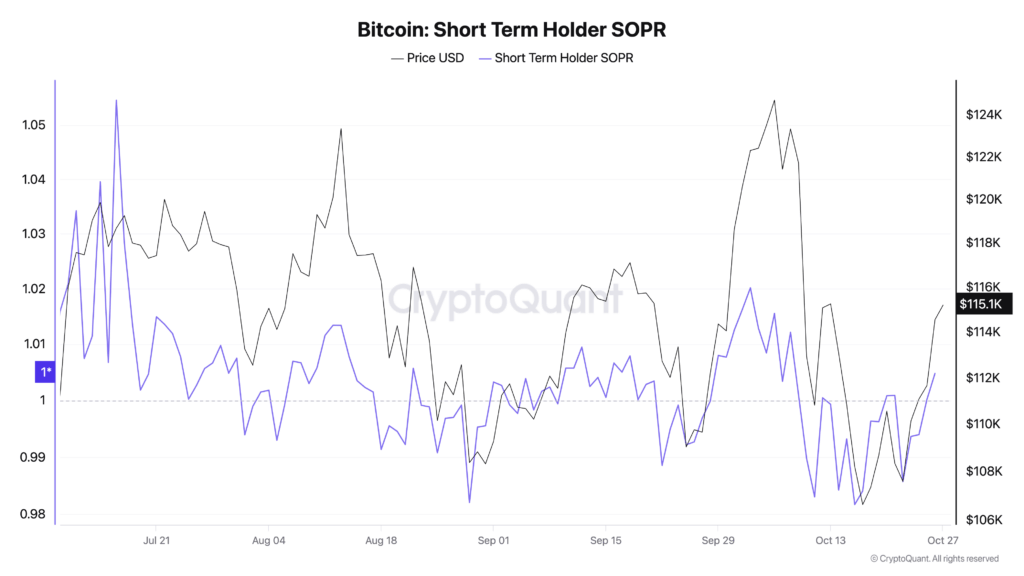 Bitcoin Faces Key Resistance as Price Rebounds Toward $115,000