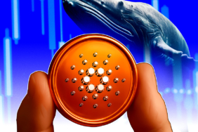 Cardano (ADA) Price Outlook: Whale Selling Cools as Retail Investors Step Back In