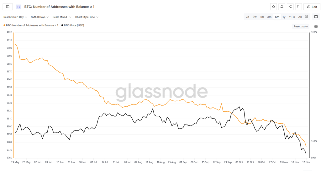 Bitcoin Whale Wallets Surge as BTC Dips Below $90K Amid Extreme Fear