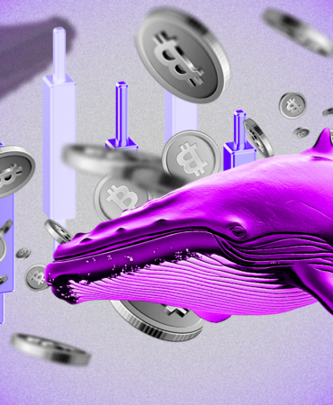 Are Crypto Whales Preparing for a Market Shake-Up After $3.59 Trillion Drop?