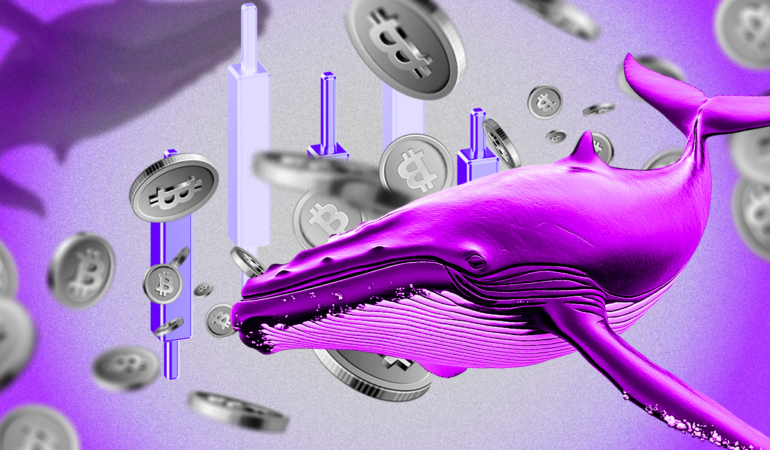 Are Crypto Whales Preparing for a Market Shake-Up After $3.59 Trillion Drop?