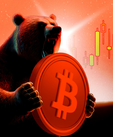 Willy Woo Says MicroStrategy Won’t Sell Bitcoin in Next Bear Market