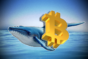 Bitcoin Whales Hit Four-Month High as Retail Holders Capitulate