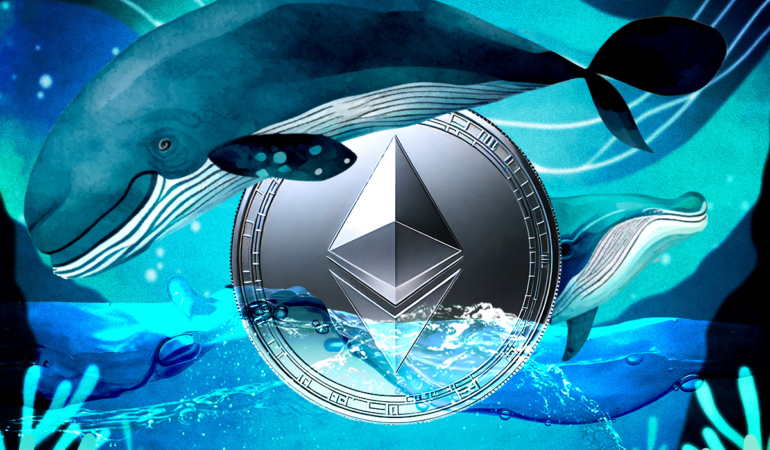 Mystery Whale Opens $44.5M ETH Long Position
