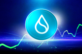 SUI Price Set for Massive Comeback? Analysts Eye $20 Target