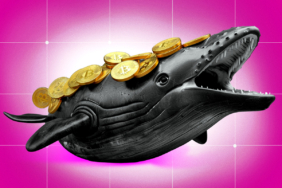 Bitcoin Whale Wallets Surge as BTC Dips Below $90K Amid Extreme Fear