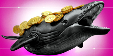 Bitcoin Whale Wallets Surge as BTC Dips Below $90K Amid Extreme Fear