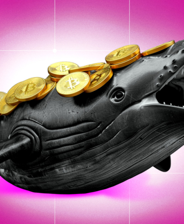 Bitcoin Whale Wallets Surge as BTC Dips Below $90K Amid Extreme Fear