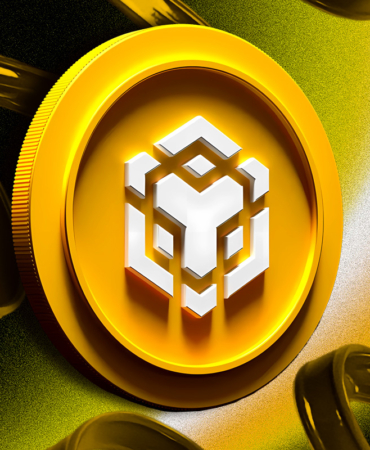 Is BNB on the Brink of a Major Crash After 13% Drop?