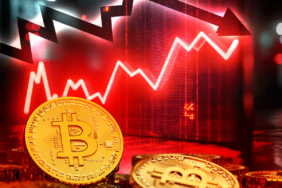 Bitcoin Accumulation Surges: Is a $95K Bounce on the Horizon?