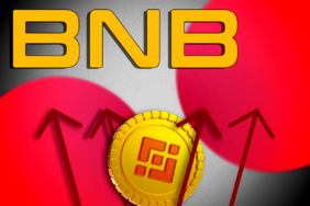 BNB Faces Cooling Momentum Amid Declining On-Chain Activity
