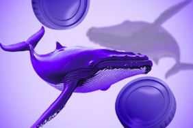 FARTCOIN Sees Massive Whale Buying and On-Chain Surge