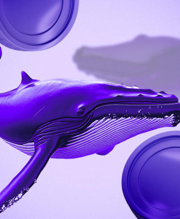 FARTCOIN Sees Massive Whale Buying and On-Chain Surge