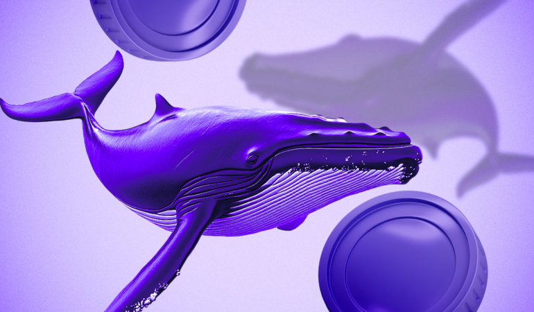 FARTCOIN Sees Massive Whale Buying and On-Chain Surge