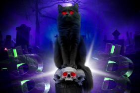 Bulls Alert Bitcoin’s Sharpe Ratio Hits Multiyear Lows