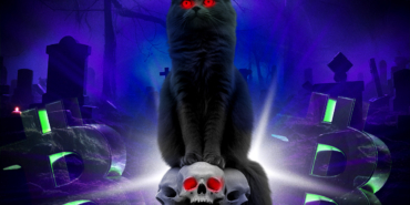 Bulls Alert Bitcoin’s Sharpe Ratio Hits Multiyear Lows