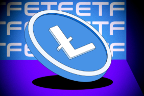 Canary Litecoin ETF Struggles Amid Low Investor Interest