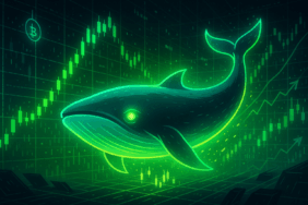 Crypto Whales Remain Active Amid Market Rebound