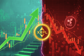 XRPL Sees Record Growth Despite XRP Price Drop