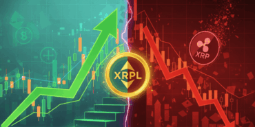 XRPL Sees Record Growth Despite XRP Price Drop