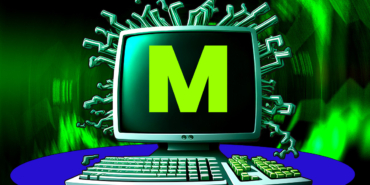 Monero Defies the Dip Buyers Hold the Line at $338