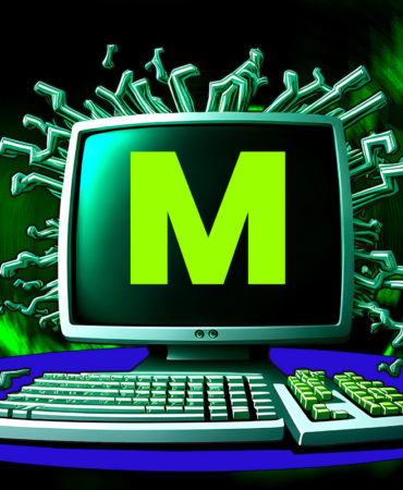 Monero Defies the Dip Buyers Hold the Line at $338