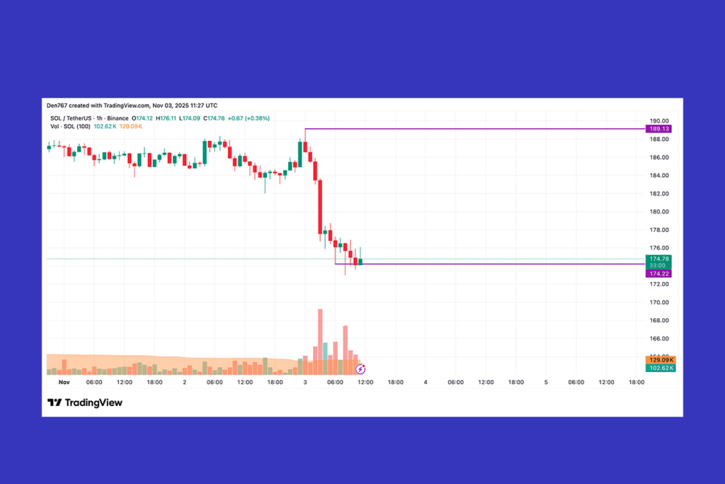 SOL Price Action: Is a Bounce Coming?