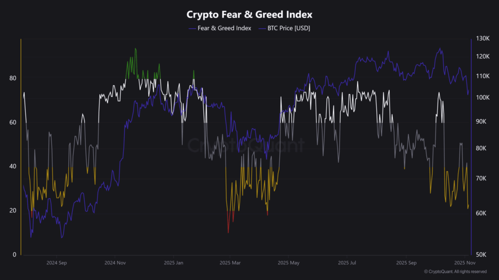 Bitcoin Slides 22% from Peak: Fear Index Shows Signs of Relief
