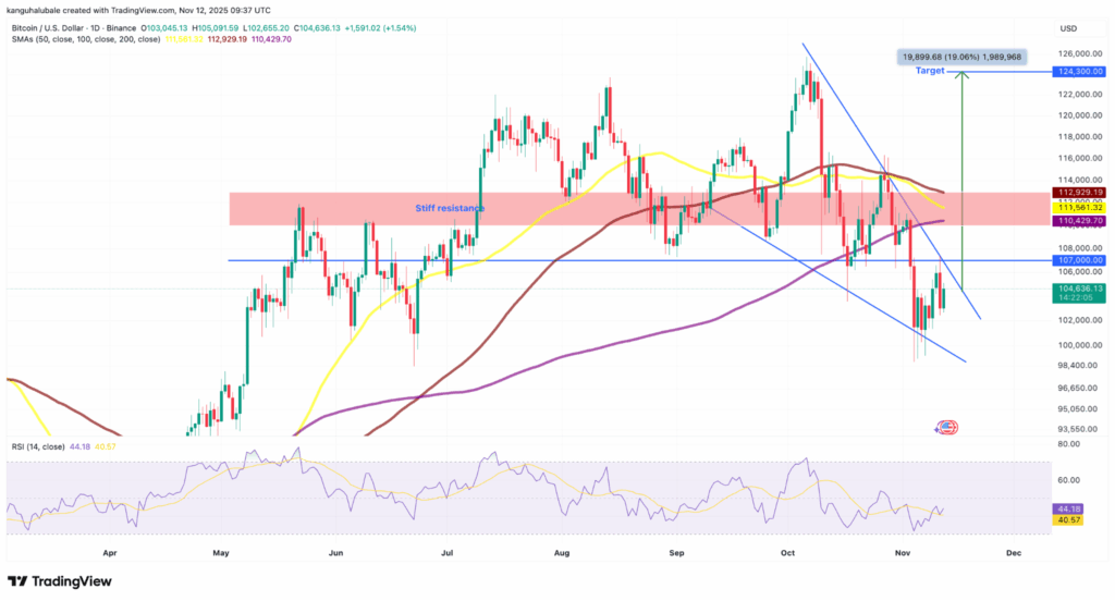 Bitcoin Liquidity Signals Potential Turning Point