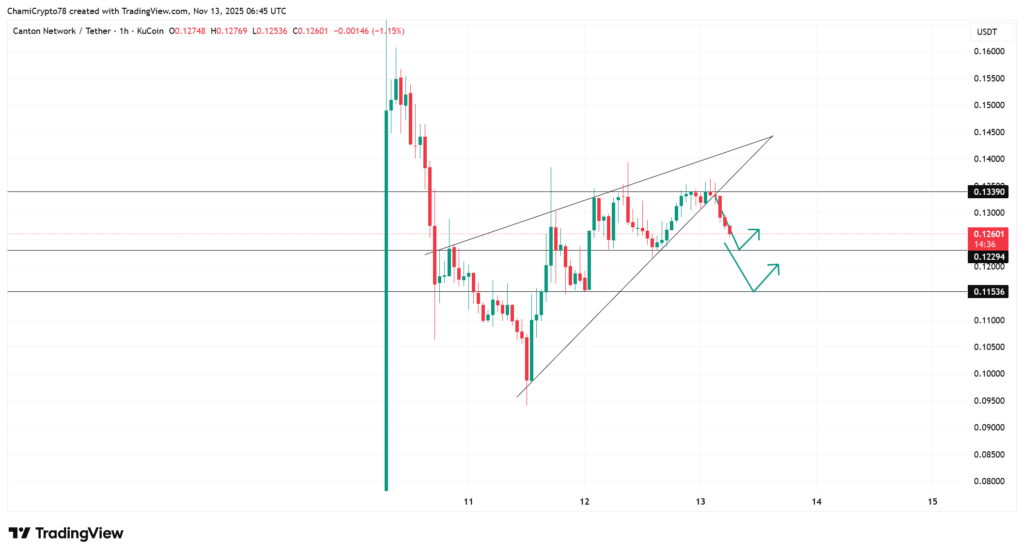 Canton [CC] Faces Increasing Bearish Pressure Amid Rising Volatility