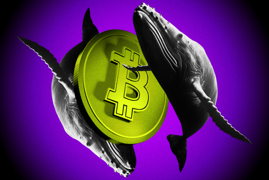Bitcoin Long-Term Holders Stop Selling as Ether Whales Accumulate