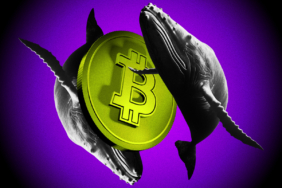 Bitcoin Long-Term Holders Stop Selling as Ether Whales Accumulate