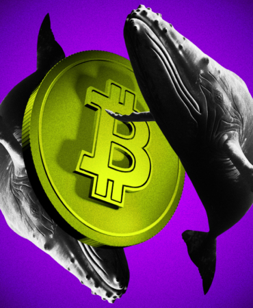 Bitcoin Long-Term Holders Stop Selling as Ether Whales Accumulate