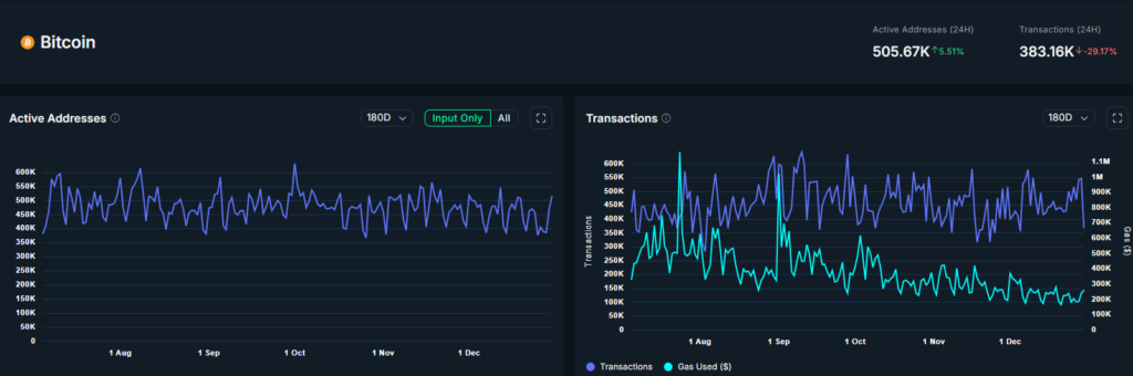 Crypto Market Struggles, But Whale Accumulation Hints at Potential Rebound