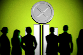 XRP Market Sees Quiet Shift Driven by ETFs and Large Holders