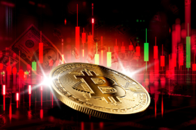 Bitcoin Price Falls: Key Support Levels and Market Dynamics